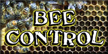 Bee Control