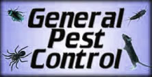 General Pest Control Information for San Diego Country